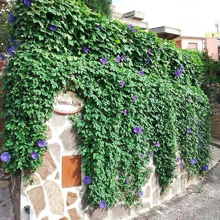 B&B Nonna Luisa Тарквиния Экстерьер фото